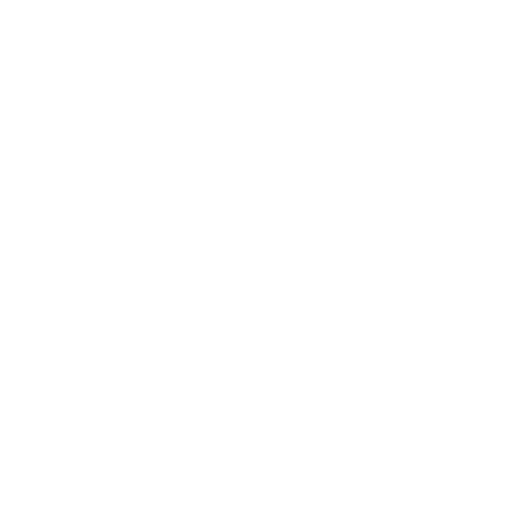 AlgoSpace Cyber